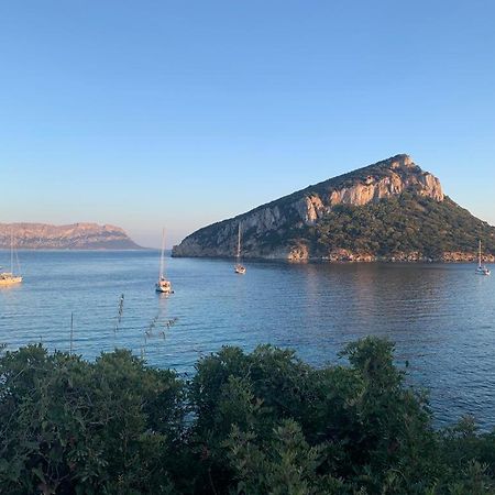 Appartamenti Le Primule Golfo Aranci Eksteriør bilde